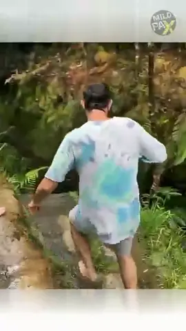Would You Survive This Fall? 🌊😱 One wrong step… and he was gone. A man slipped on a slick rock and plunged into a raging river. The fall looked fatal—but somehow, he climbed out and walked away with barely a scratch. 💥 Nature doesn’t give second chances often. Could you survive something like this? ⚠️ Watch the full video and tag a friend who needs to see this. #ShockingFall #NatureFails #CloseCall #Milopax #WildSurvival        