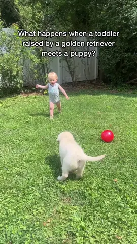 He is definitely part golden retriever 😂 . . . #goldenretriever #dogfamily #BestFriends #babyanddog #dogandbaby #funny #dogmom #boyandhisdog #cutebaby #goldenretrieverpuppy