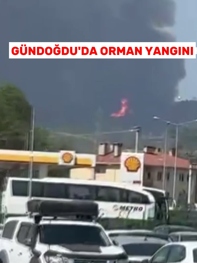 Bursa'da bir çok ulusal ve yerli radyo ve tv vericilerinin bulunduğu Gündoğdu tepesine yakın ormanlık alanda yangın çıktı. Bölgeye havadan ve karadan müdahale başladı. #bursa #gündoğdu #ormanyangını #müdahale