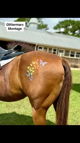 ✨ Saddle up and sparkle – welcome to the Glittermarx club 💖🐴 #Glittermarx #PinkPonyClub #HorseTok #EquestrianStyle #GlitterGoals @Sophie & Penny @Tianna_k_7 