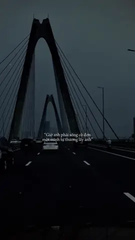 Người từng đã nói thương a nhất mà.....#tram_buon2025 #nhachaymoingay #tamtrang #nhactamtrang #tamtrangbuon #xuhuong #tramcamxuc💔 