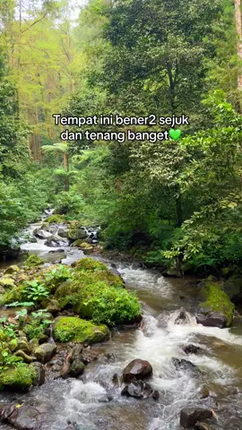 Tempat healing yaitu dengan alam🌿 #tawangmangu 