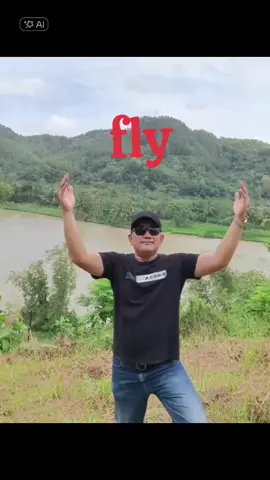 #CapCut fly  #hiburan 