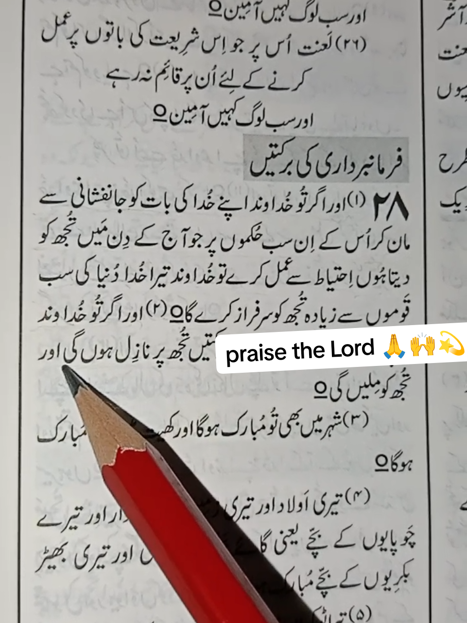 Khudawand ka ✝️❤🌿🕊️🙏🙌💫 pak Kalam ap sab k Liya#hollyspirit✝️😇 #godblessyouall🙏🏻😇❤️ #hallelujah #amen🙏 #godblessyouall🙏🏻😇❤️ 
