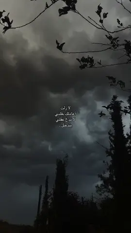 لا زلت أعاملك بقلبي لا تدع عقلي يتدخل .