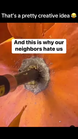A creative idea for pumpkin carving! #cat #Cats #catsoftiktok #catlover #cattok 