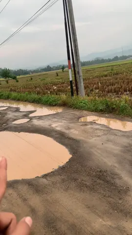 coba bantu tag @abang taun @Miradesianaa @IG_emak_jiehh biar ada lele nya di kolam temuan saya ini 😅🙏 #abangtaun #miradesinalampung #pesawaranlampung🇮🇩 #pringsewulampung 
