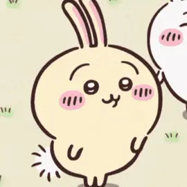 sang nay#usagi #momonga #xh #bel #bel 