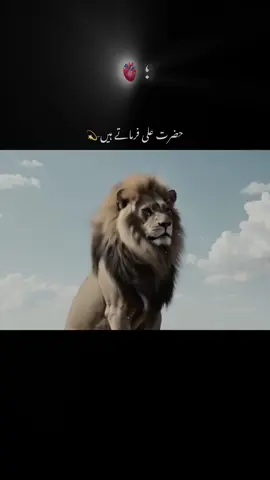 Dost-❤️ #urduadablines #urduadablines #viralvideo #viralvideo @TikTok 