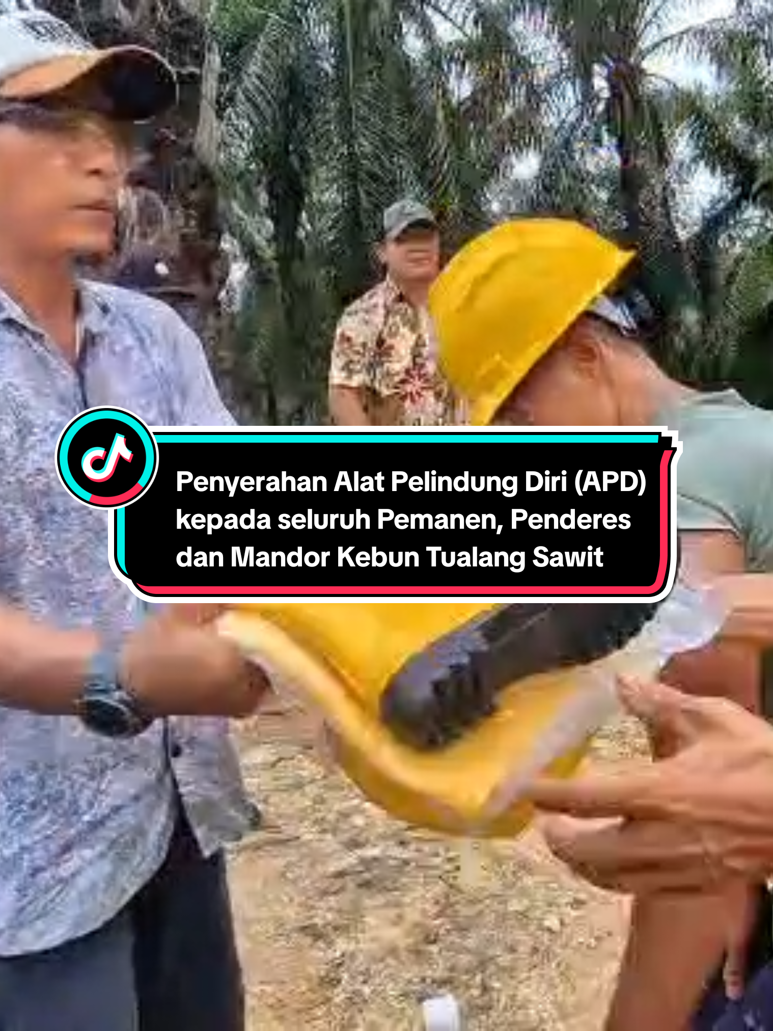 #APD  #Alatpelindungdiri #SMK3  #pemanensawit  #kebunkelapasawit 