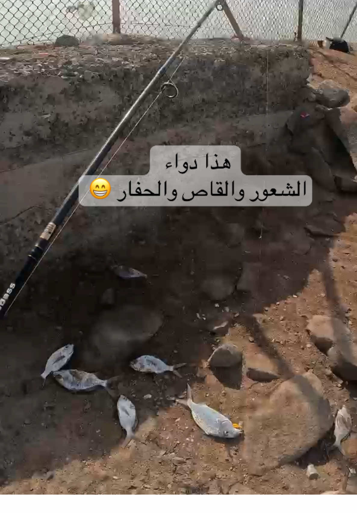 سمكة القاص  القصبه :سترايك ماكريل ماكس9 المكينه:كوبرا1000 الخيط وولف 0.6 الجق:جمبري  @Long Breath متوفره هنا #لونق_بريث #ابو_زهره #أبو_زهرة #ابو_زهره_يصيد 