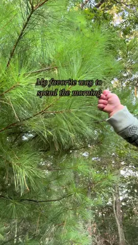 The benefits of fresh air and time spent exploring outdoors is beyond beneficial to your child! It’s one of the best gifts you can give them, time outside #explore #babysensory #hikingwithkids #momlife 