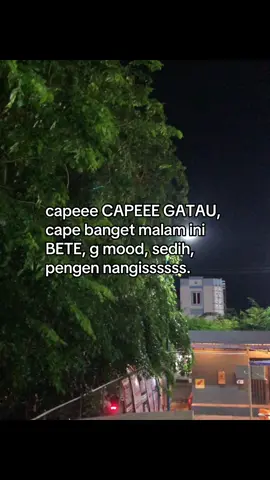 #galaubrutal 