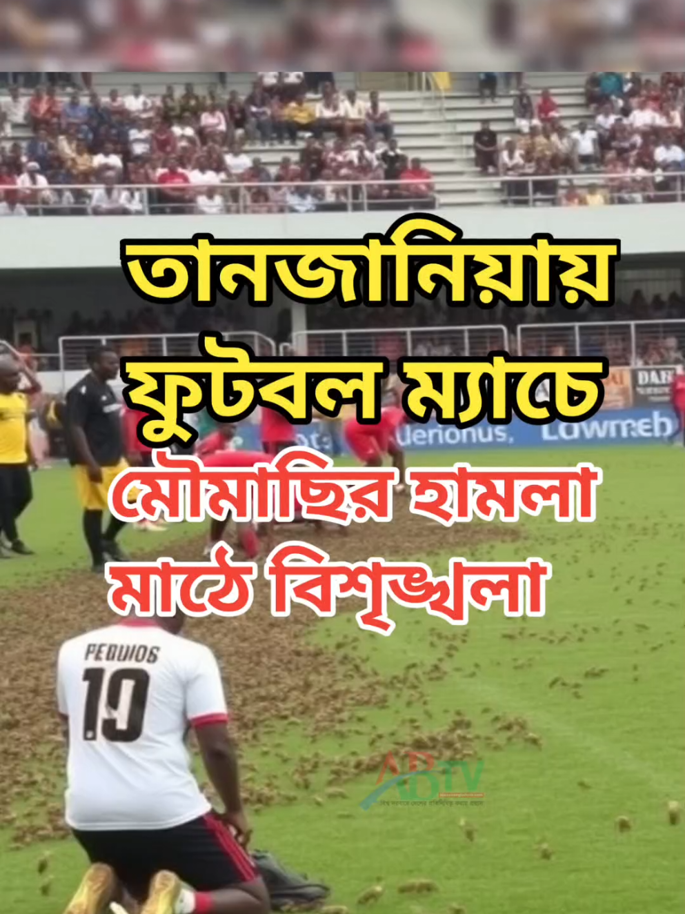 তানজানিয়ায় ফুটবল ম্যাচে মৌমাছির হামলা মাঠে বিশৃঙ্খলা #TanzaniaFootballMatch #BeeAttack #FootballNews #SportsUpdate #TanzaniaSports 