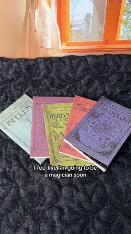 #diagonalley #magic #textbook #wizardingworld #harrypotter #giftidea #gift #present #decoration #tiktokmademebuyit #spotlight #homedecor #tiktokshopbacktoschool  #spotlightfinds #globalpick #tiktokshoplabordaysale 