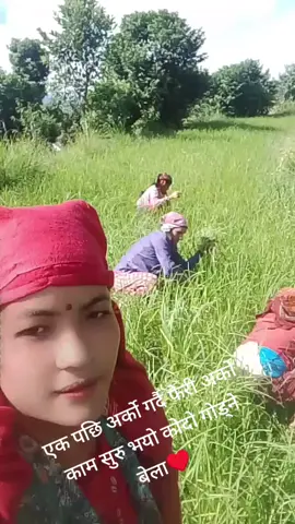 @Ridam Thapa 
