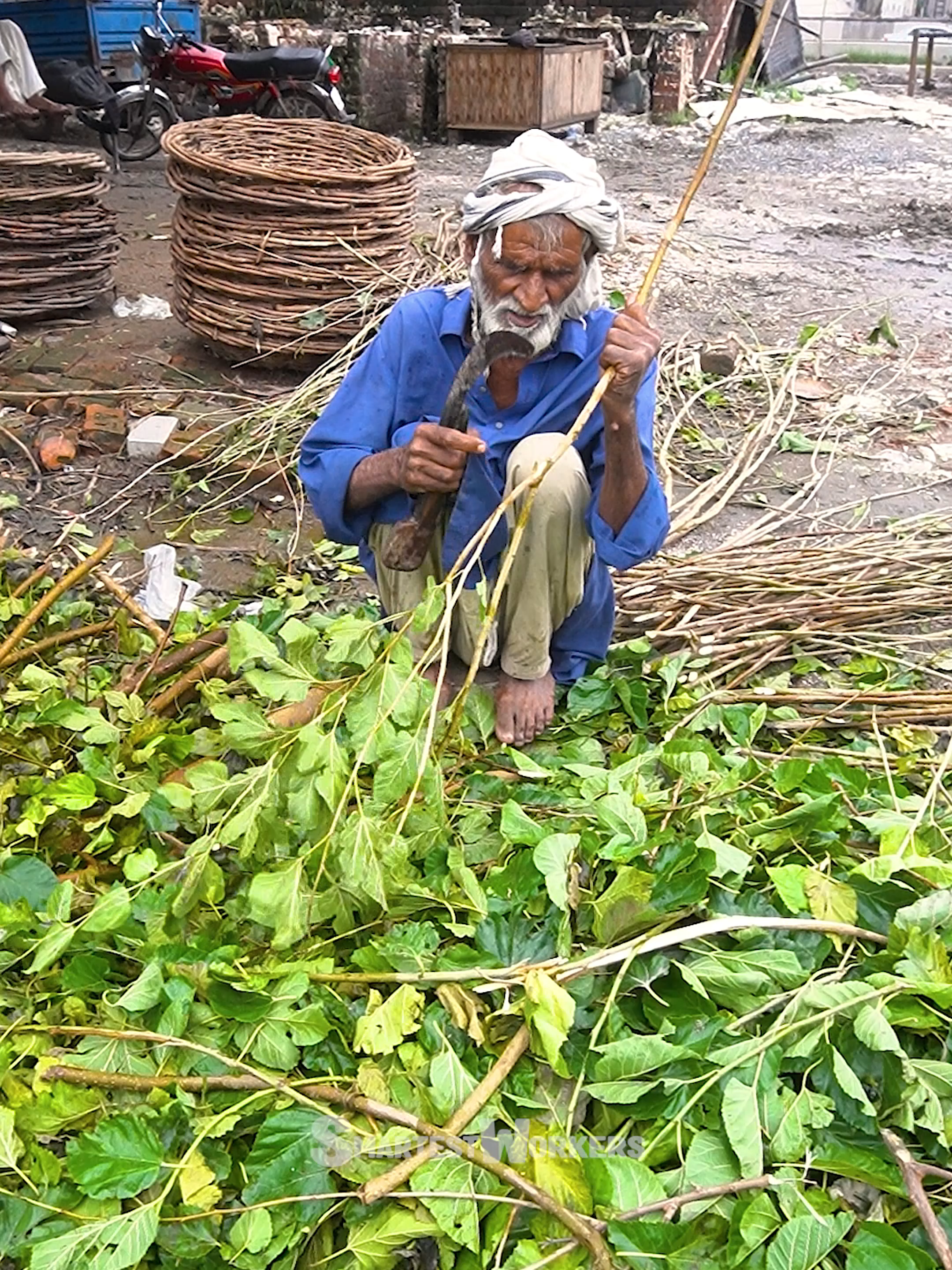 Making Handmade Traditional Basket From Tree Branches