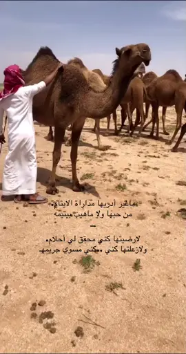 #ماغير_اداريها_مداراة_الايتام