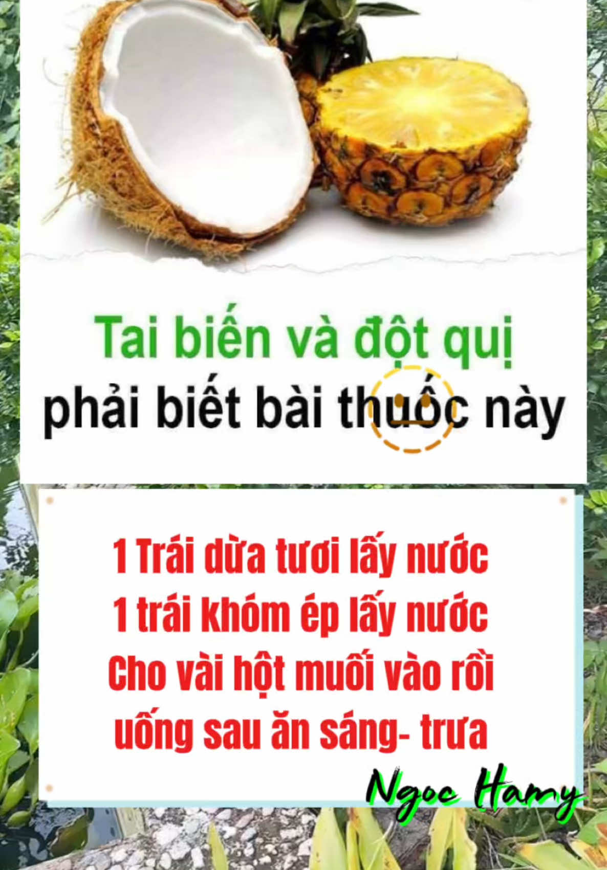 CÔNG THỨC HAY CHO TAI BIẾN & ĐỘT Q.UỊ.. Bài dân gian này rất hay và đơn giản, Có thể được ví như thần dược của người nghèo. NGUYÊN LIỆU. - 1 Trái dứa hay có tên gọi khác là (khóm, thơm). - 1 Trái Dừa... Dứa (khóm thơm) gọt hết vỏ cho vào máy xay sinh tố xay nhuyễn, sau đó đổ nước dừa vào khuấy điều lên rồi uống, uống cả ngày cho hết. Có thể ép lấy nước. Qua ngày sau làm mới. (Tùy theo lượng của mỗi người, ai uống ít thì giảm bớt thơm và nước dừa lại nhé. Còn ai đau bao tử thì uống sau ăn). Uống sau bữa ăn trong vòng 5 đến 7 ngày hai bện.h đó sẽ hết không bao giờ tái lại... Bài này quá hay lại dễ làm. Mong giúp được nhiều người biết mà khỏi. Sống an hưởng tuổi già an bình hạnh phúc bên con cháu. Ngọc áp dụng theo bác Bá Vượng chia sẻ ạ #NgocHamyStore #healthylifestyle #cùngngọcchữalànhhealthylifestyle #cânbằngvuikhoẻ #cùngngọcchữalành 