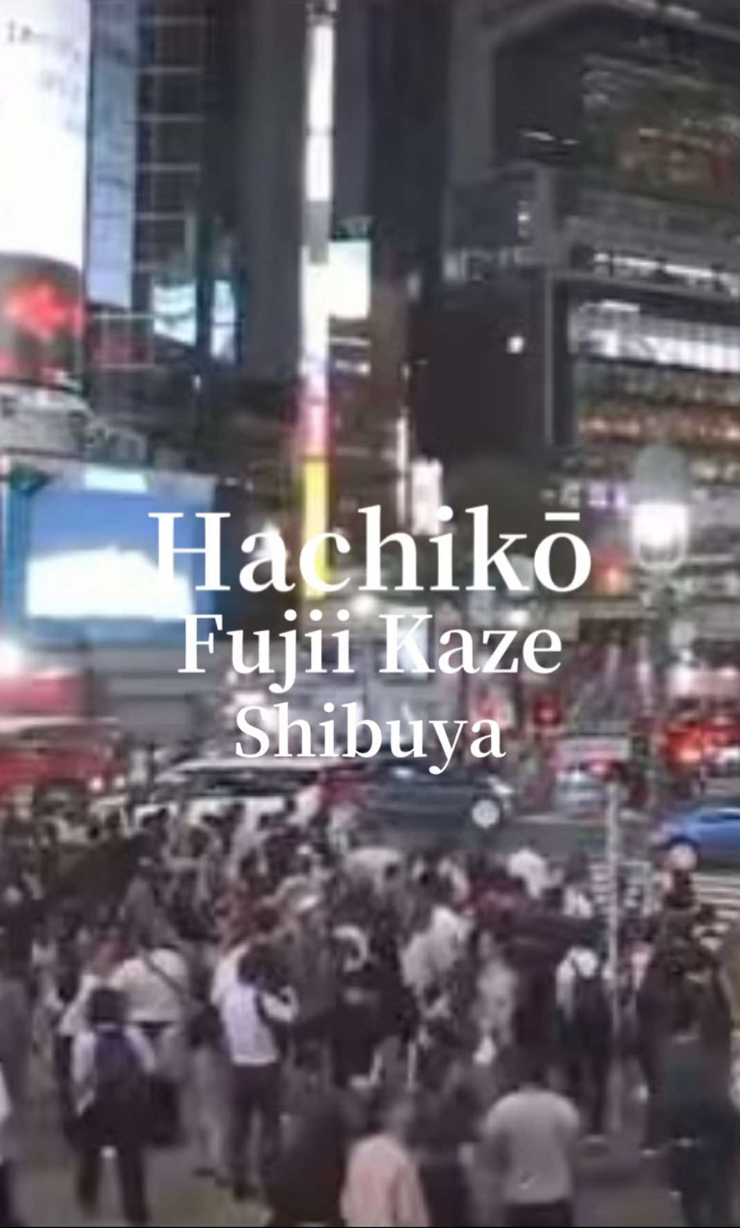 渋谷のライブカメラ Mステ初登場が 渋谷の街で歌唱ってすごい Prema発売おめでとう @Fujii Kaze  ✼••┈┈┈┈••✼••┈┈┈┈••✼ #藤井風 #fujiikaze 