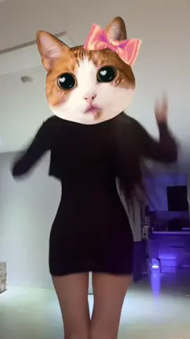 궁디팡팡해조