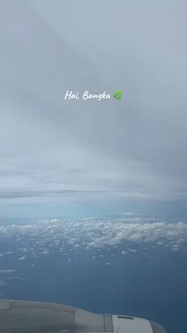 Hai, bangka 🌿 #fypシ゚ 