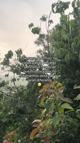 #fyp #fypシ゚ #foryoupage #foryou #sierrabonita💯🥰🏞️🏡 