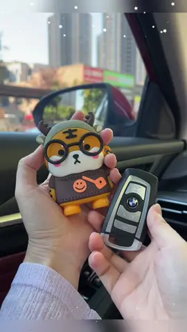 #caraccessories #cargadgets #us #nyc 