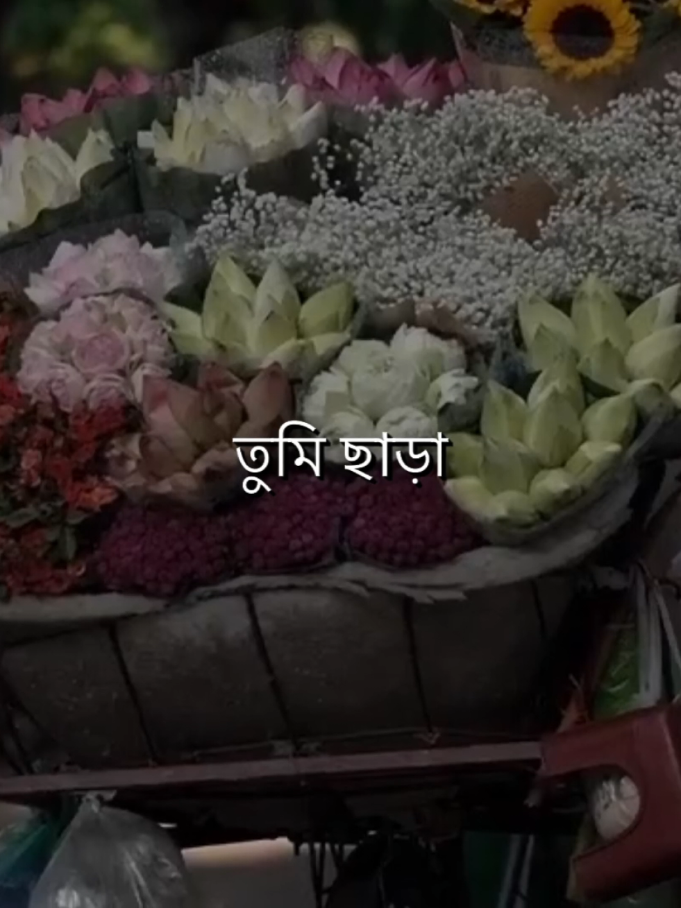 - তুমি ছাড়া পৃথিবীটা <💝💖 - ভীষণ একলা একা<😌💔 ,, ,, ,, @For You @TikTok @TikTok Bangladesh 