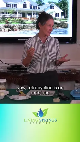 Are you looking for natural ways to support your body's defenses? Learn from Barbara O'Neill about a remarkable herb that works as an antiviral, antifungal, and more. Subscribe and hit the notification bell so you don't miss our next video. #NaturalRemedies #GarlicBenefits #HealthTips #BarbaraOneill #LivingSpringsRetreat Watch the full video: https://www.youtube.com/watch?v=O2Wn9CGERlQ Living Springs Retreat is your ultimate destination for achieving holistic wellness and embracing natural health principles. Join us on this transformative journey as we dive deep into the secrets of the body and learn how to nurture it back to a state of optimal well-being. Through our 1-Week Detox Lifestyle Program, Virtual Wellness Programs, and Community Health Education Affordable Program (C.H.E.A.P.), we offer a comprehensive approach to tackle ailments such as heart disease, diabetes, high blood pressure, obesity, and other lifestyle-related illnesses. Explore our Online Shop for a curated selection of herbal preparations, health products, and resources to support your wellness goals. Together, let's unlock the power of nature and embark on a path to vibrant health. Learn more: https://www.livingspringsretreat.com Subscribe: https://youtube.com/@livingspringsretreat