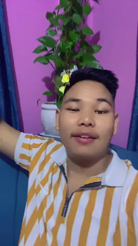 Aba ta chhinta nalinu #tamangselo🤍✨ @Bishwo Dong  @𝗣𝗿𝗮𝘁𝗲𝗲𝗸 𝗡𝗴𝗲𝘀𝘆𝘂𝗿 #tamangtiktokofficial #foryoupage 