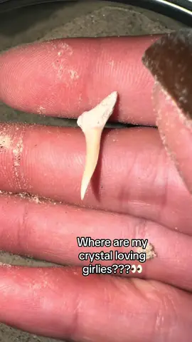 Cannot wait till my lil girl gets here later🥰 @Earth Blings #fyp #viral #SmallBusiness #earthblings #treasurefinds 