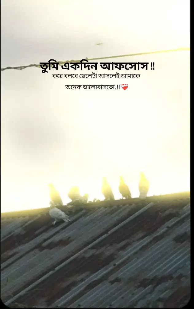 ❤️‍🩹 Part / 160 _#Outfit cowok berwarna #fyppシ #viralvideo #unknown_khairol_1m #bangladesh🇧🇩 