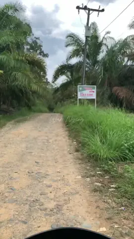 Dusun: Suka Rame, Dusun: Sungai Rodang, Desa: Parimburan, Kec: Sungai Kanan, Kab: Labuhan Batu Selatan, Prov: Sumatra Utara. #wakngeng #Vlog #sungairodang #primburan #labusel #fyp #tiktokviral 