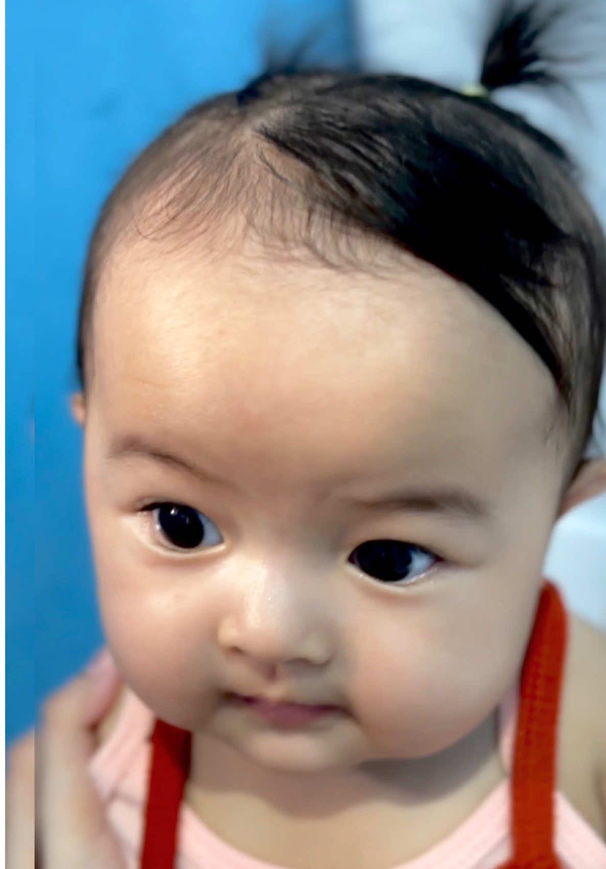 syalula klo kuncir dua gini mirip ga aunty-uncle sm shizuka🥰😍💖🎀💞💕💓🌸 #babytiktok #babygirl #fyp #fypage #fypシ゚ #cutebaby #bayicomel #bayigemoy #bayicantik #bayigemes #bayilucu cepet bgt ya nak gede nya💖🎀💕 singlet & kuncir syalula amy cantumin di showcase ya ♡ yok samaan sm syalula 🌸🎀