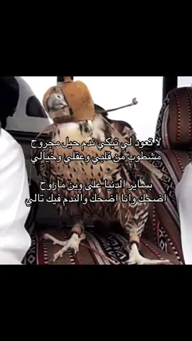 #fyp #4u #شعر #يوسف_ذاير #قصيد 