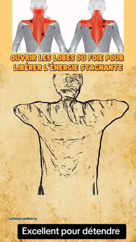 Les bars en mouvement #marshou 