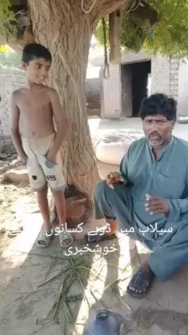 چھے دن سے ڈوبے دھان کی حالت ژندہ یا مردہ پانچ دن مزید ڈوبے رہنے کا خدشہ