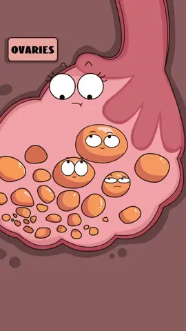 #animation #funny #fyp 