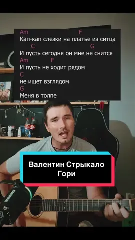 ТГК - nvasecretfm Валентин Стрыкало - Гори #валентинстрыкало #аккорды #кавернагитаре #песня #secretfm 