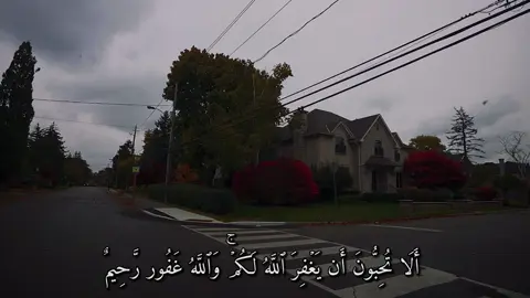 الا تحبون ان يغفر الله لكم والله غور رحيم ) ____________________________ سورة النور } ماهر المعيقلي  ____________________________ #quran #quran_alkarim #قران_كريم #اذكروا_الله #ماهرالمعيقلي 