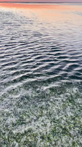 #nttpride🏝🔥 