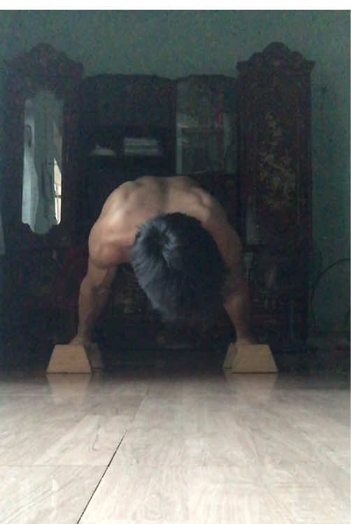 cày lại skill#calisthenics #2k10 #planche #hanstand 