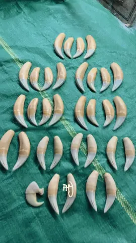 យស់!ទិញពាក់ម្នាក់មួយ ជិតបុណ្យភ្ជុំបិណ្ឌហេីយ #ចង្គូមខ្លា #ចង្គូខ្លាសេរ៉ាមិច #គ្រូបោកប្រាស់ #គ្រូបោក😂 #fyp @Fresh Insider 