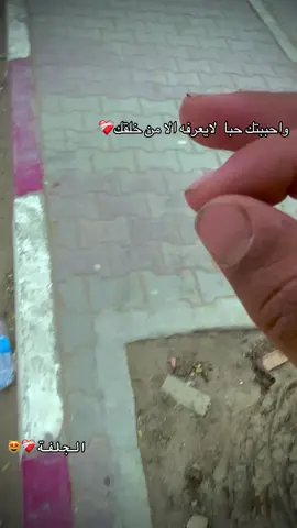 #الجلفة17 #الجلفة #نويل 
