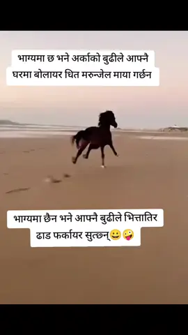 #creatorsearchinsights #prince #tiktoknepal🇳🇵 #viral foryou #fyp 