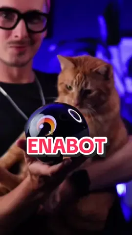 Mein Kater hat einen neuen besten Freund gefunden: den EBO Air 2 Plus 🤖🐾 Ein smarter Familien-Roboter mit 3K-Kamera, KI-Steuerung, Anruffunktion und Follow-Modus. Perfekt, um zuhause alles im Blick zu behalten – selbst wenn du unterwegs bist. Link in meiner Bio @Enabot  Und mit meinem Code VADIMSKYART sparst du zusätzlich! #enabote #smarthome #petthings #catlovers #gingercat Anzeige
