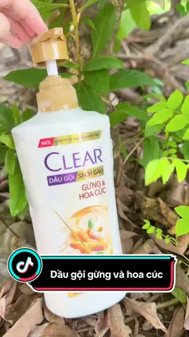 Dầu gội gừng và hoa cúc #Clear #cleargunghoacuc #daugoithaoduoc #daugoithiennhien #hoptaccungunilever 