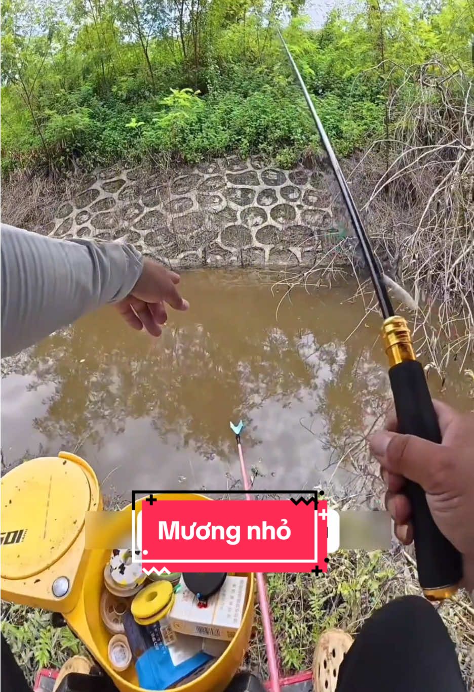 Seri câu tự nhiên P31 #cauca #fishing #caucagiaitri🎣 #caucagiaitri #following 