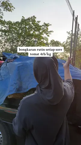 tetap termurahh🤙🏻🤙🏻🤙🏻#seicaarya #seicamlarak #ponorogo24jam #sayuran 